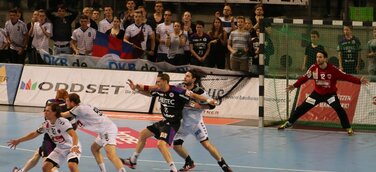 HC Erlangen und Füchse Berlin trennen sich unentschieden 28-28