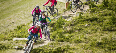 Sommerurlaub über der Baumgrenze