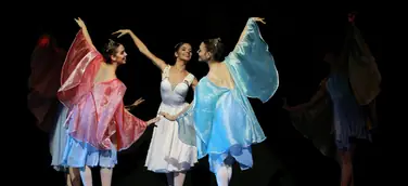 Brasilien: Weltweit größtes Tanzfestival verwandelt ganz Joinville in eine Bühne