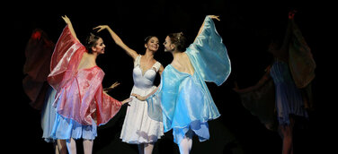 Brasilien: Weltweit größtes Tanzfestival verwandelt ganz Joinville in eine Bühne