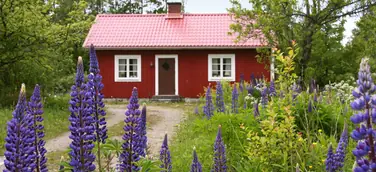 Lastminute ins Ferienhaus nach Skandinavien