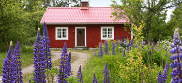 Lastminute ins Ferienhaus nach Skandinavien