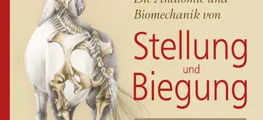 Neuerscheinung von Dr. Gerd Heuschmann: Meilensteine auf dem Weg zur korrekten Versammlung