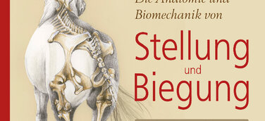 Neuerscheinung von Dr. Gerd Heuschmann: Meilensteine auf dem Weg zur korrekten Versammlung