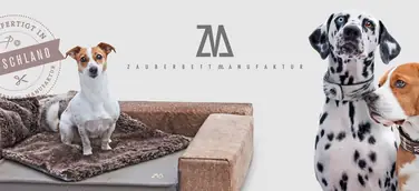 Zauberbett Manufaktur - Innovatives Hundehalsband erobert den Markt