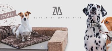 Zauberbett Manufaktur - Innovatives Hundehalsband erobert den Markt