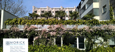 Gewerbehof der Morick GmbH in grünes Pflanzenparadies verwandelt