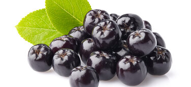 Aroniabeere - die Wunderbeere für ihre Gesundheit