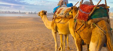 ECCO-Reisen: Neue Marokko Rundreise „Königstädte“ ist ohne Mindestteilnehmerzahl buchbar