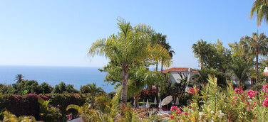 Kreativ entspannen im Hotel Jardín Tecina – Berliner Coaches bieten innovative Kurse auf La Gomera an