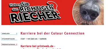 Mit dem richtigen Riecher auf Erfolgskurs bei Colour Connection