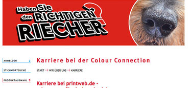 Mit dem richtigen Riecher auf Erfolgskurs bei Colour Connection