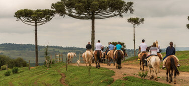 Brasiliens Landleben entdecken - Agrotouristische Angebote erfreuen sich großer Beliebtheit