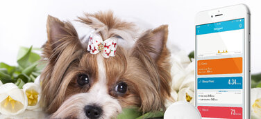 Technaxx Fittypet TX-46. Der Fitnesstracker für den Hund