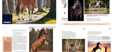 Faszination Pferdefotografie - Schönheit, Stärke, Anmut und Poesie im Bild