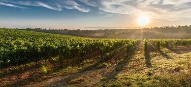 Anleitung zum Genießersein - Reiseveranstalter in schmackhafter Kooperation mit Anbieter für Genussseminare