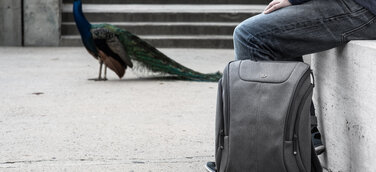 Leicht und natürlich in den Frühling