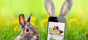 Osterappell an alle Reisende: Als Autofahrer hat das Smartphone in der Hand nichts zu suchen