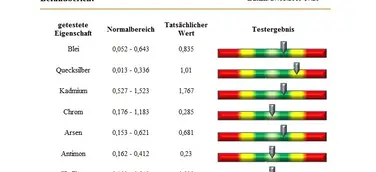 bioscan-swa deckt auf - Ständig müde - Symptom einer chronischen Vergiftung
