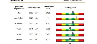 bioscan-swa deckt auf - Ständig müde - Symptom einer chronischen Vergiftung