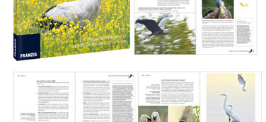 FRANZIS Fotoschule Vögel fotografieren - eine Königsklasse der Naturfotografie