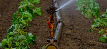 „Smarte“ Unterstützung für optimale Abläufe: Klimaüberwachung mit Datenloggern