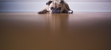 Strom & Gas: Das Märchen von der Preisgarantie