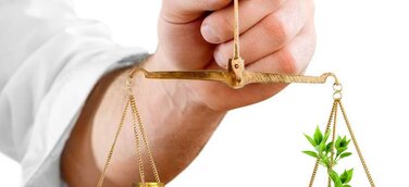 Geld anlegen mit hoher Rendite in Zeiten niedriger Zinsen - Teil 1: Gründe und Folgen der Niedrigzinspolitik