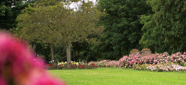 Gräber werden teurer - Grabrechner stellt Transparenz her und ermöglicht erstmals Grabkauf im Internet