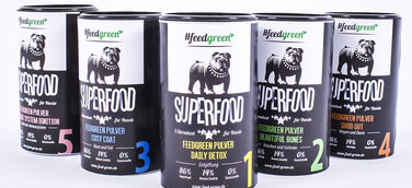 Das erste Superfood für Hunde