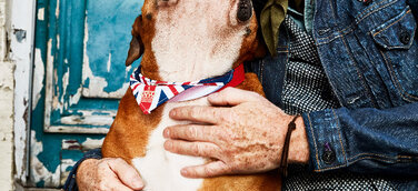 PR-Bild-Award 2017: Falke gewinnt mit „Burlington Newcastle“