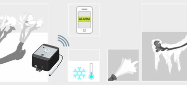 Das Nachtfrost Frühwarnsystem von Mobeye