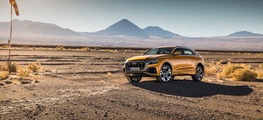 Das neue Top-Modell der Q-Familie: Audi Q8 ab sofort bestellbar