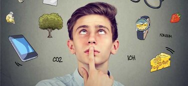 Regenwald im Einkaufswagen – Kostenlose Workshops für Schulen jetzt buchen