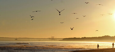 Travel-Netto weitet Ostsee-Angebot aus