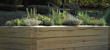 Neue Beisetzungsmöglichkeit Kräuterbeet - Veränderte Bestattungskultur sucht nach neuen Bestattungsformen