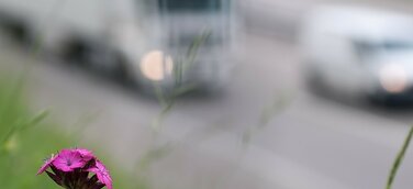 Toll Collect: Damals, heute und was die Zukunft alles bringen könnte