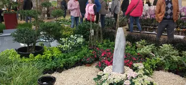 Gartenträume Lingen – Die Erweckung des Frühlings