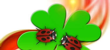 Glück ist kein Zufall – es ist eine Entscheidung