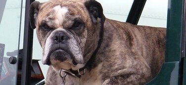 2019 wird ein turbulentes Jahr für die Logistik – Zeit für Gelassenheit