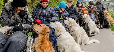 ISINGERMERZ fördert die VITA Assistenzhunde