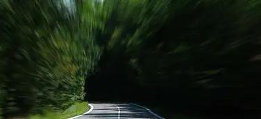 Käufer sind bereit, Aufpreise für eine umweltfreundliche Zustellung zu zahlen