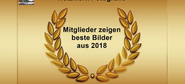 Netzwerk Fotografie Mitglieder zeigen ihre fünf besten Bilder aus 2018