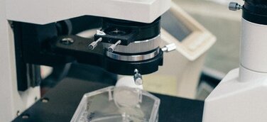 Anwälte Ciper & Coll. erneut erfolgreich vor dem Landgericht Itzehoe