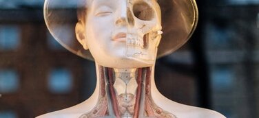 Anwälte Ciper & Coll. erneut erfolgreich vor dem Landgericht Münster