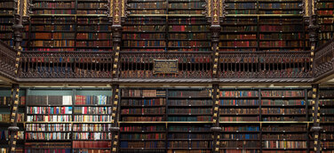 In Rio de Janeiro: Die ganze Vielfalt brasilianischer Architektur erleben