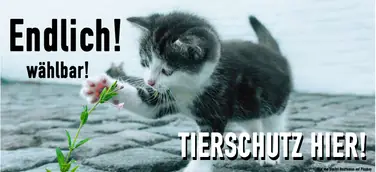 Tierschutz hier. Tierrechte jetzt wählbar.