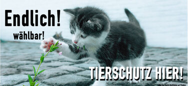 Tierschutz hier. Tierrechte jetzt wählbar.