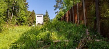 Über 750 Kilometer unberührte Natur: Das „Grüne Band“ an den Grenzflüssen Saale und Werra entdecken