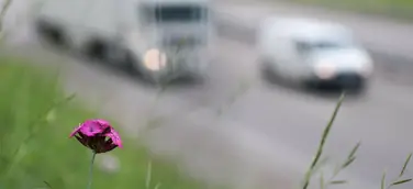 Hin und her bei den Dieselfahrverboten - eine Chronik voreilig gezogener Schlussfolgerungen